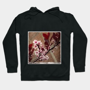 Street Flowers Hoodie